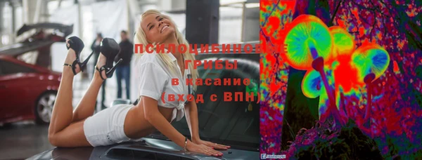 молекула духа Алзамай