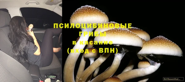 молекула духа Алзамай