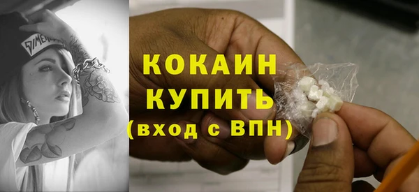 молекула духа Алексин